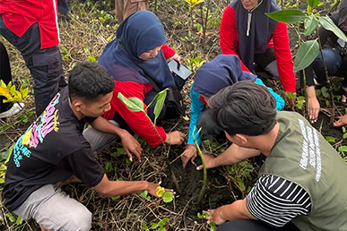 Pengelolaan Mangrove Pesisir